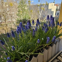 Przytulne, słoneczne mieszkanie w samym centrum Warszawy przy Metrze Ratusz Arsenał