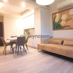 Eleganckie studio, metro, klimatyzacja, PLATINUM Residence