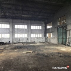 Wynajmę hale magazynowo- produkcyjną o powierzchni 500m2.