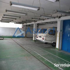 Oferta wynajmu   Szczecin
