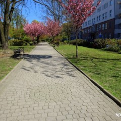 Mieszkanie 34m2 2 pokoje Bytom