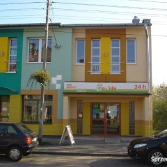Lokal handlowo/ biurowy/ usłudowy 209m