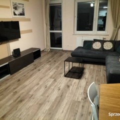 Mieszkanie do wynajęcia ul. Sobieskiego - 2 pokoje 50m