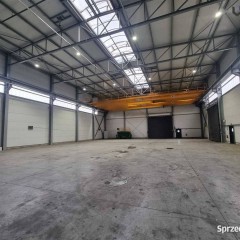 Lokal wynajmę 1300m2 Dąbrowa Górnicza