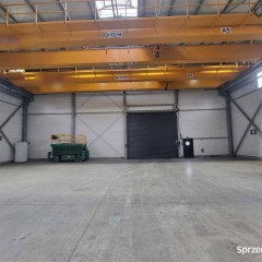 Lokal wynajmę 1300m2 Dąbrowa Górnicza