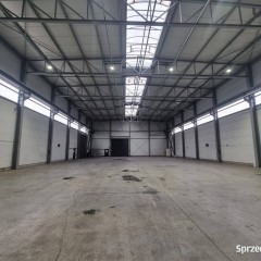 Lokal wynajmę 1300m2 Dąbrowa Górnicza