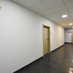 Lokal na wynajem, Centrum Elbląga, 37 m2