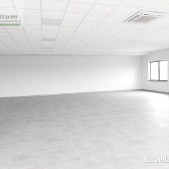 Lokal Krosno 300m2