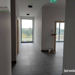 Lokal Krosno 300m2