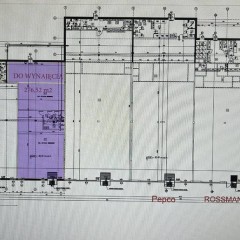 Lubsko, lokal użytkowy do wynajęcia, pow. 276,52 m2