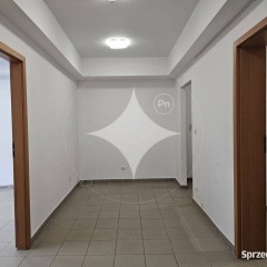 Lokal biurowy w centrum 72m2 Ip.