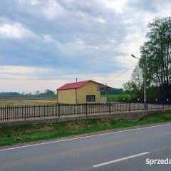 Wynajmę plac/działkę 3800m2 z budynkiem handlowym 70m2 przy DK60 - Karniewo