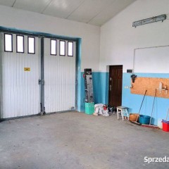 Wynajmę plac/działkę 3800m2 z budynkiem handlowym 70m2 przy DK60 - Karniewo
