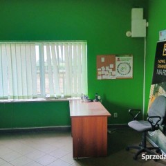Wynajmę plac/działkę 3800m2 z budynkiem handlowym 70m2 przy DK60 - Karniewo
