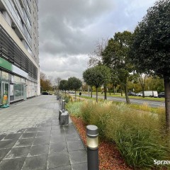Oferta wynajmu lokalu Białystok 65m2