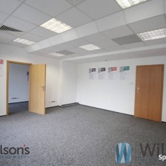 Lokal Warszawa Żurawia 150m2
