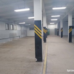 Lokal Kielce 1000 metrów