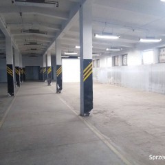 Lokal Kielce 1000 metrów