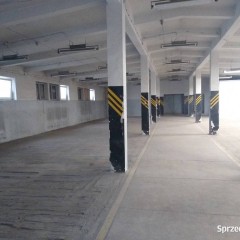 Lokal Kielce 1000 metrów