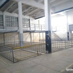 Lokal Kielce 1000 metrów