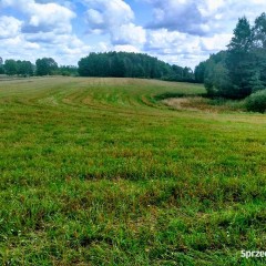 Wynajem dzierżawa działek 2000zl/rocznie