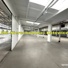 Hala do wynajęcia Katowice blisko centrum dobry dojazd ogrzewanie biura so…