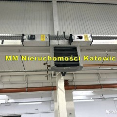 Hala do wynajęcia Katowice blisko centrum dobry dojazd ogrzewanie biura so…