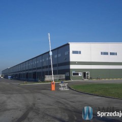 Lokal 1845m2 Wola Mrokowska