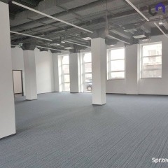 Lokal Katowice 280m2