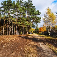 Działka 9000m2 Przeszkoda gm. Żabia Wola WYDZIERŻAWIĘ