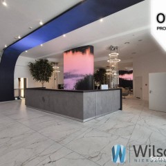 Lokal Warszawa Ludna 30m2