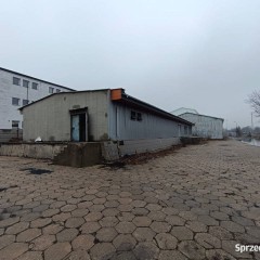 Oferta wynajmu lokalu Kielce 1448m2