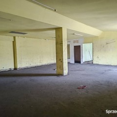 Oferta wynajmu lokalu Kielce 1448m2