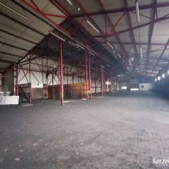 Oferta wynajmu lokalu Kielce 1448m2