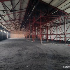Oferta wynajmu lokalu Kielce 1448m2