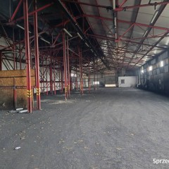 Oferta wynajmu lokalu Kielce 1448m2