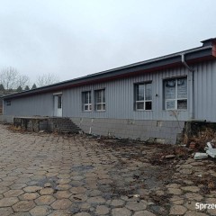 Oferta wynajmu lokalu Kielce 1448m2