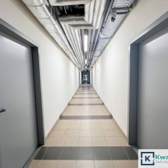 Lokal Krosno 204.28m2