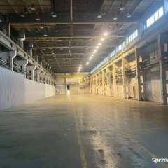 Lokal 860m2 Białystok