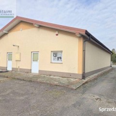 Oferta wynajmu lokalu Korczyna 244m2
