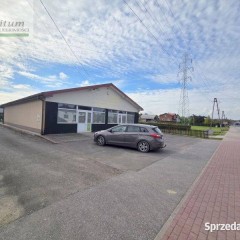 Oferta wynajmu lokalu Korczyna 244m2