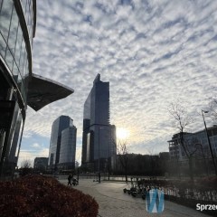 Oferta wynajmu lokalu Warszawa 50m2