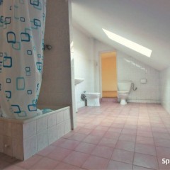 Lokal 280m2 Kielce