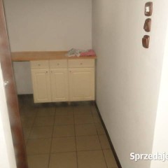 Lokal do wynajęcia
