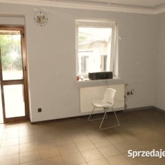 Lokal do wynajęcia