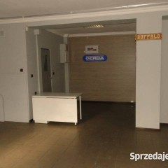 Lokal do wynajęcia