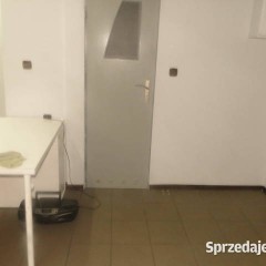 Lokal do wynajęcia
