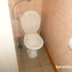 Lokal do wynajęcia
