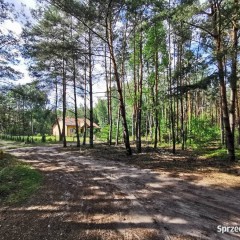 Oferta wynajmu działki Mogilno 600m2