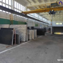 Lokal Sosnowiec 850m2